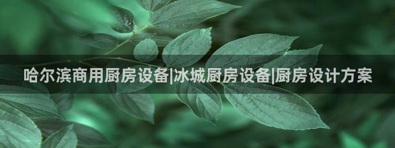 尊龙凯时俱乐部：哈尔滨商用厨房设备|冰城厨房设备|厨房设计方