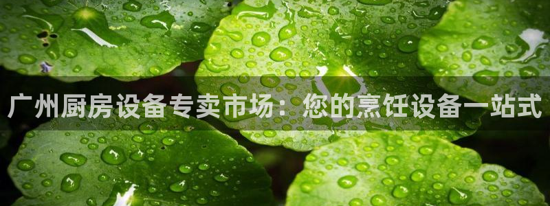 尊龙凯时是哪个国家的：广州厨房设备专卖市场：您的烹饪设备一站