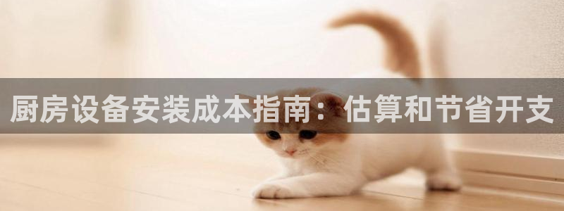 d88尊龙官网手机app：厨房设备安装成本指南：估算和节省开