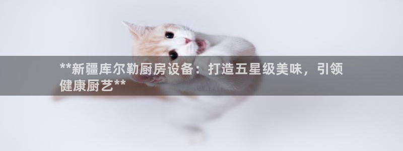 尊龙人生就是博i可靠吗：**新疆库尔勒厨房设备：打造五星级美