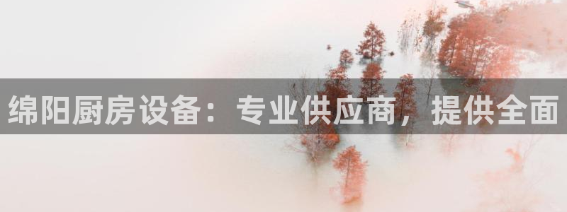 尊龙官方网站最新版V9.3.06：绵阳厨房设备：专业供应商，