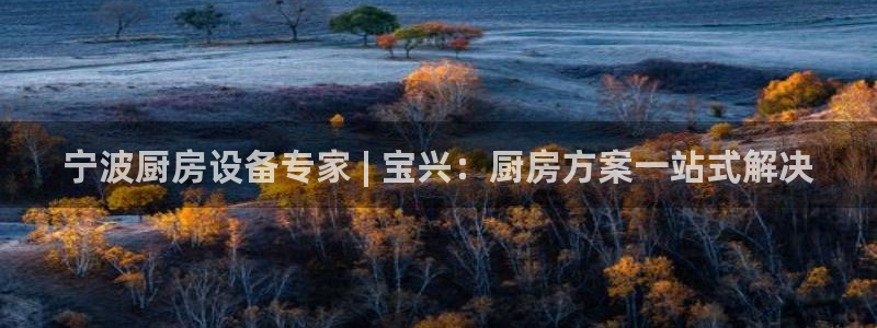 尊龙体育直接访问agbaofu.wang|ag暴富网：宁波厨