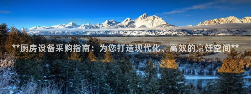 尊龙凯时手机版·(中国)官方网站：**厨房设备采购指南：为您