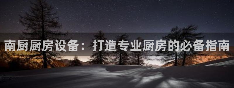 尊龙网站 人生就是博：南厨厨房设备：打造专业厨房的必备指南