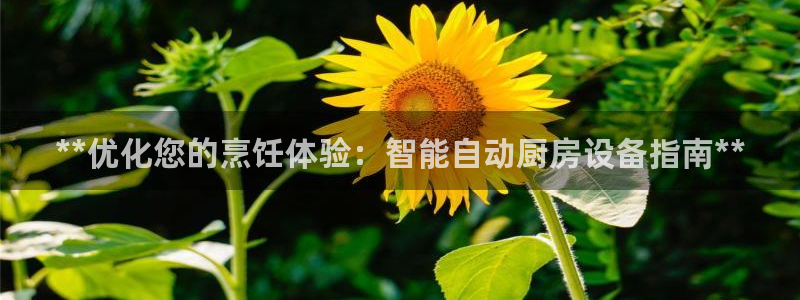 尊龙网站人生就是博：**优化您的烹饪体验：智能自动厨房设备指