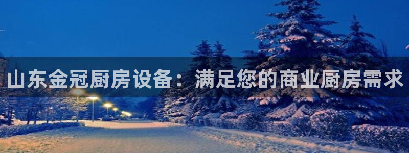 尊龙物流怎么样：山东金冠厨房设备：满足您的商业厨房需求