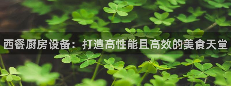 尊龙凯时网站首页手机登录：西餐厨房设备：打造高性能且高效的美