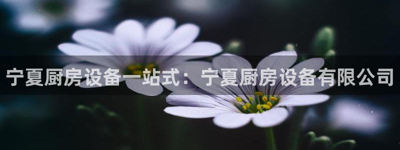 凯时国际app首页下载：宁夏厨房设备一站式：宁夏厨房设备有限