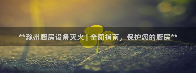 尊龙z6：**滁州厨房设备灭火 | 全面指南，保护您的厨房*