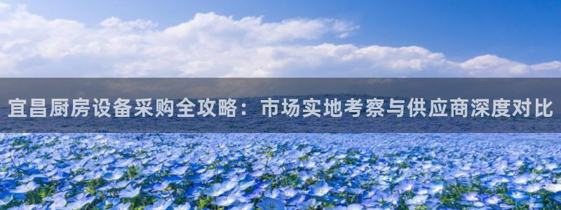 尊龙登录地址：宜昌厨房设备采购全攻略：市场实地考察与供应商深