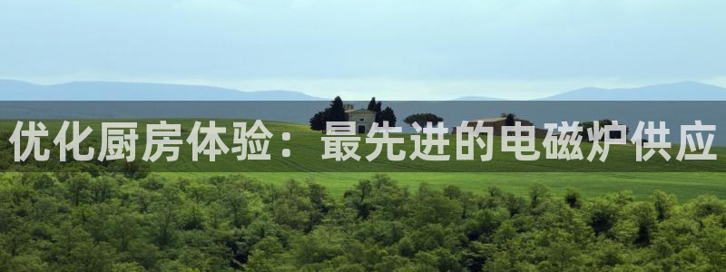 尊龙体育游戏平台：优化厨房体验：最先进的电磁炉供应
