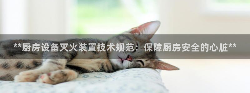 尊龙凯时泰安：**厨房设备灭火装置技术规范：保障厨房安全的心
