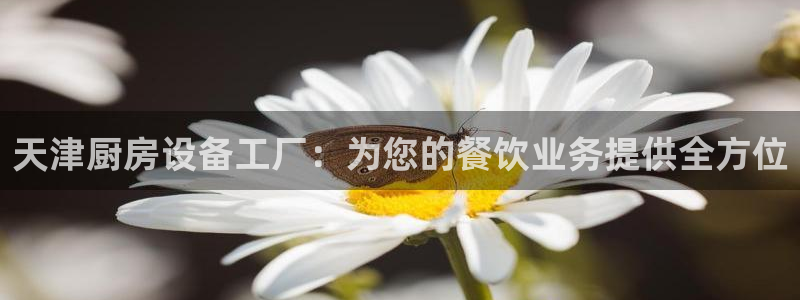 尊龙官网：天津厨房设备工厂：为您的餐饮业务提供全方位