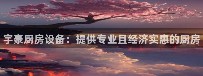 尊龙凯时平台信誉怎样：宇豪厨房设备：提供专业且经济实惠的厨房
