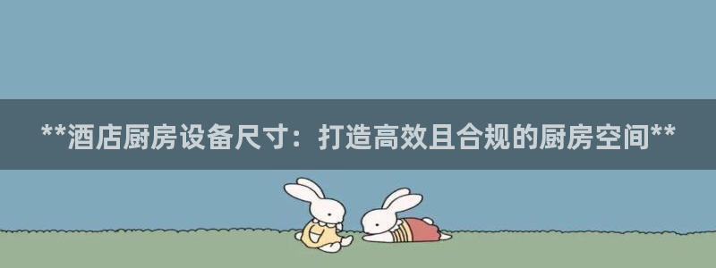 尊龙科技：**酒店厨房设备尺寸：打造高效且合规的厨房空间**