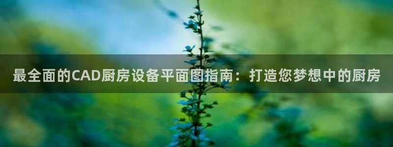 凯时国际app首页登录：最全面的CAD厨房设备平面图指南：打