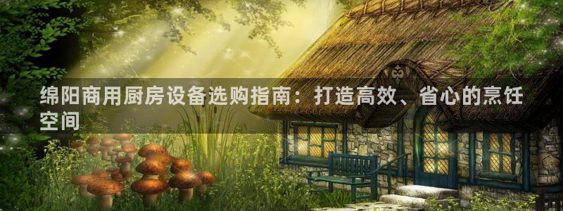 尊龙z6平台：绵阳商用厨房设备选购指南：打造高效、省心的烹饪