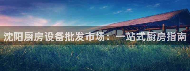 凯时APP官网首页：沈阳厨房设备批发市场：一站式厨房指南