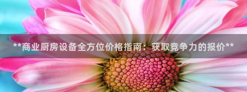尊龙d88皆选ag发财网：**商业厨房设备全方位价格指南：获