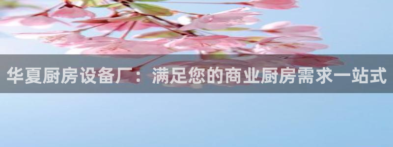 尊龙凯时网站登录：华夏厨房设备厂：满足您的商业厨房需求一站式