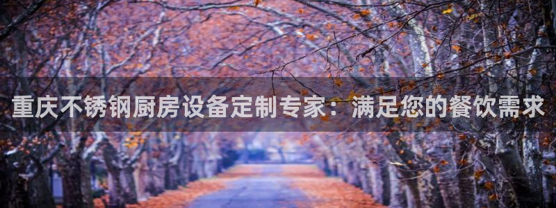 尊龙凯时手机版·(中国)官方网站：重庆不锈钢厨房设备定制专家