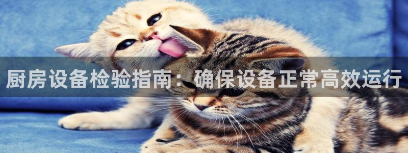 尊龙官网登录·(中国)官方网站-bd SPORTS：厨房设备