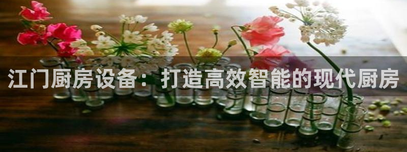 尊龙网站 人生就是博：江门厨房设备：打造高效智能的现代厨房