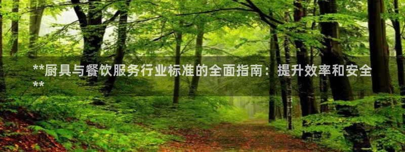 尊龙凯时美金能提取吗：**厨具与餐饮服务行业标准的全面指南：