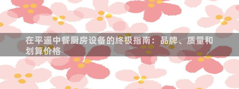 尊龙凯时代理官网入口：在平遥中餐厨房设备的终极指南：品牌、质