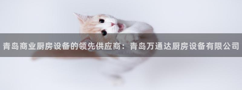 尊龙凯时输了100万：青岛商业厨房设备的领先供应商：青岛万通