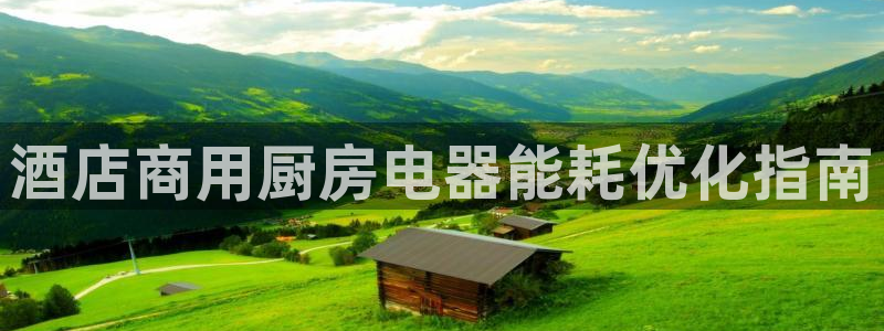 尊龙凯时 人生就是搏!：酒店商用厨房电器能耗优化指南
