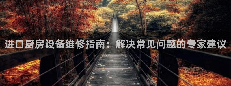尊龙ag：进口厨房设备维修指南：解决常见问题的专家建议