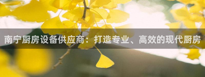 凯时尊龙app国际官方网站：南宁厨房设备供应商：打造专业、高