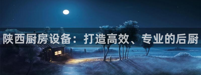 尊龙凯时人生就是搏官方网站：陕西厨房设备：打造高效、专业的后