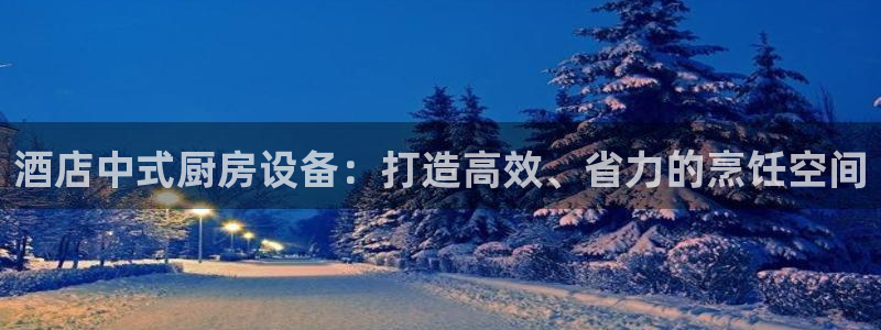凯时在线平台官网：酒店中式厨房设备：打造高效、省力的烹饪空间