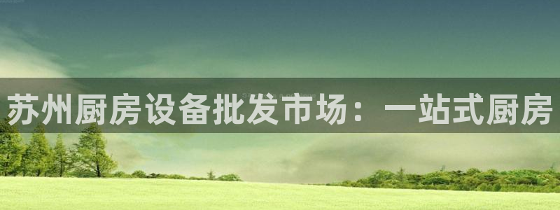 尊龙凯时网页版：苏州厨房设备批发市场：一站式厨房
