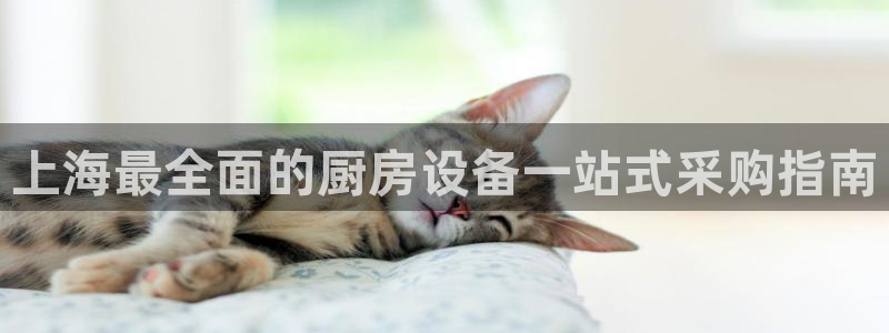 尊龙官方网址：上海最全面的厨房设备一站式采购指南