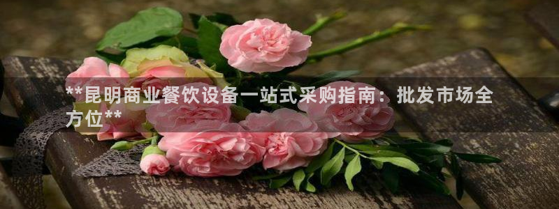 首页尊龙d88国际：**昆明商业餐饮设备一站式采购指南：批发