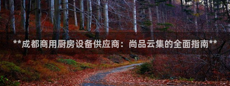 尊龙凯时平台还是万搏好：**成都商用厨房设备供应商：尚品云集