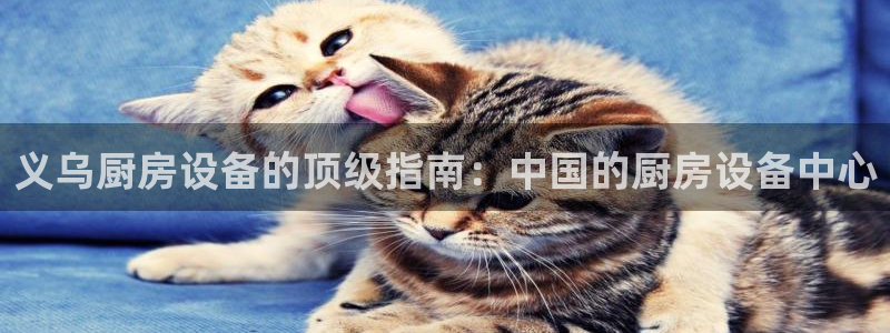 尊龙凯时人生就是博游戏网站：义乌厨房设备的顶级指南：中国的厨