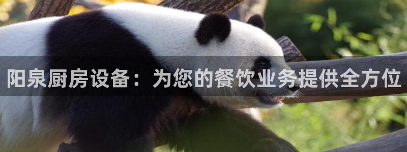 尊龙凯时人生就是博官网登录：阳泉厨房设备：为您的餐饮业务提供