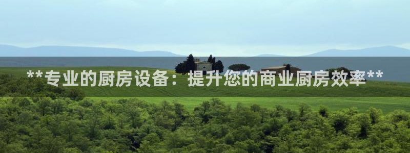 尊龙2020：**专业的厨房设备：提升您的商业厨房效率**