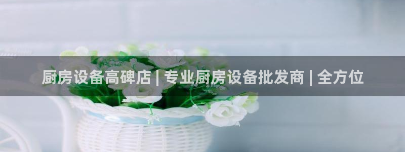 尊龙凯时人生就是搏首页：厨房设备高碑店 | 专业厨房设备批发