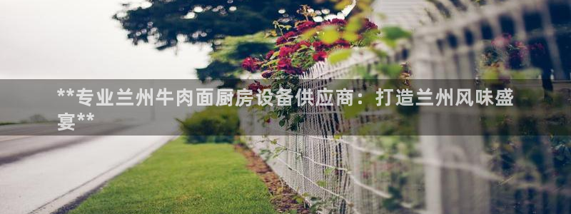 尊龙ag旗舰厅下载：**专业兰州牛肉面厨房设备供应商：打造兰