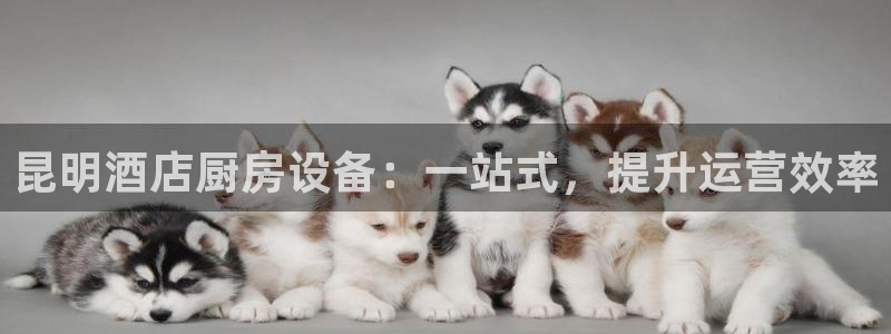 尊龙凯时不给提款：昆明酒店厨房设备：一站式，提升运营效率