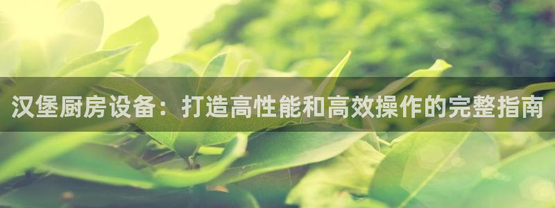 尊龙公司：汉堡厨房设备：