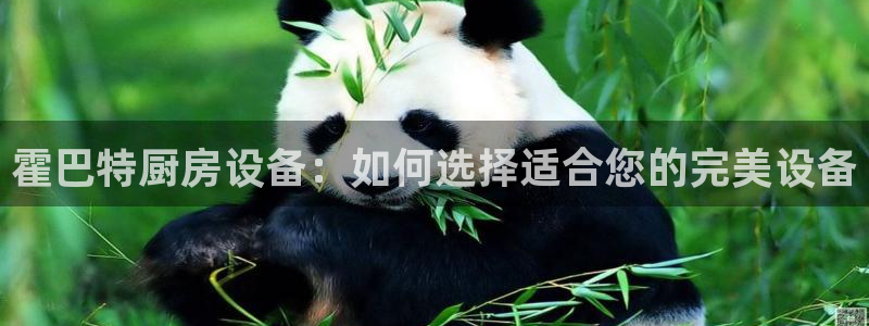 尊龙人生就是博登录首页：霍巴特厨房设备：如何选择适合您的完美