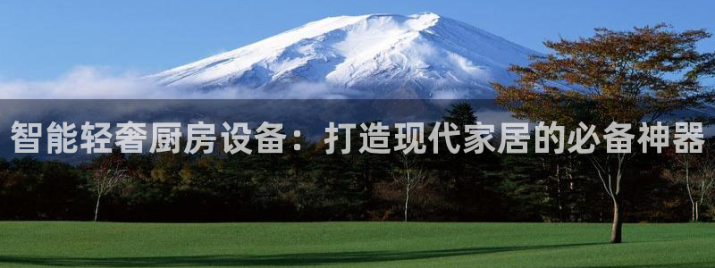 z6com尊龙：智能轻奢厨房设备：打造现代家居的必备神器