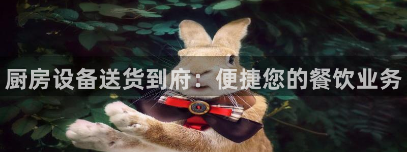 尊龙coming to my own：厨房设备送货到府：便捷