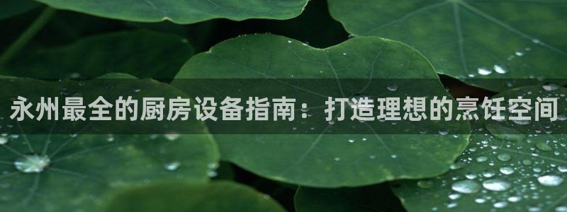 凯时kb88kb88：永州最全的厨房设备指南：打造理想的烹饪